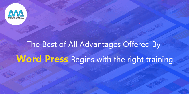 The best of all advantages offered by Word press begins with the right training