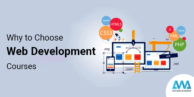 Why to Choose Web Development Courses