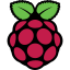 raspberry-pi